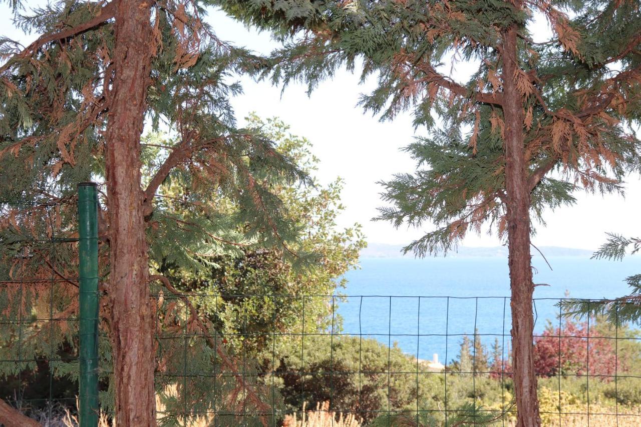 Armonia Salanti Βίλα Κοιλάδα Εξωτερικό φωτογραφία
